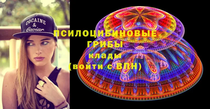 Галлюциногенные грибы Magic Shrooms Белый